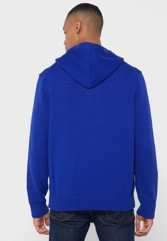 Mavi Erkek Ralph Lauren Grafik Kapüşonlu Üst